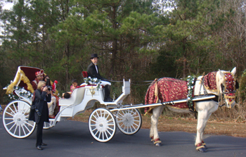 Founders Point Ethnic Wedding