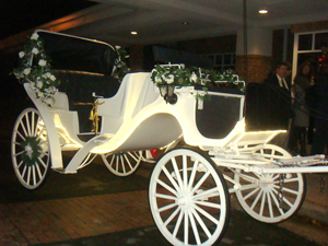 Princess Horse Carriage