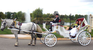 Princess Horse Carriage