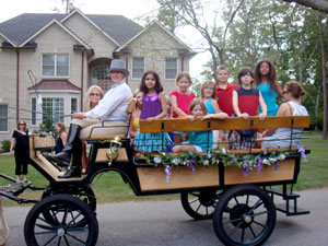 Wagonette Horse Carriage