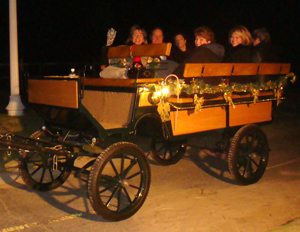 Wagonette Horse Carriage